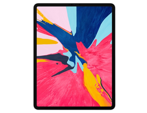 iPad Pro 12.9 (3a Generation)